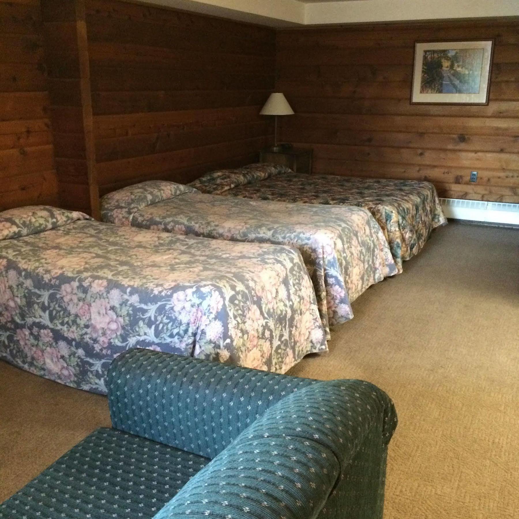 Raccoon Lodge Motel Sylvan Lake Ngoại thất bức ảnh